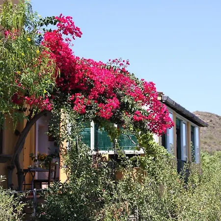 Holiday home Miele *